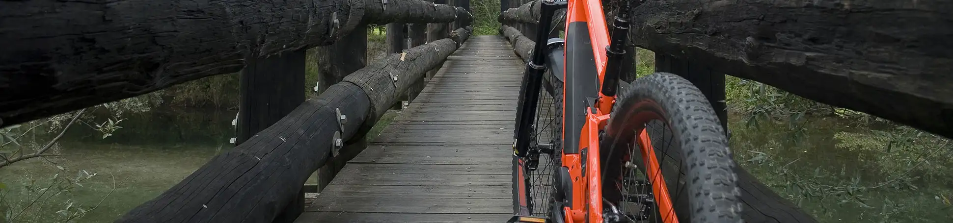 E-Bike im Wald